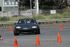 IMG 9178