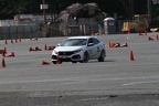 IMG 5088