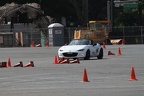 IMG 5155