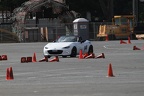 IMG 5157
