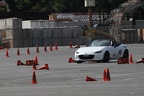 IMG 5160