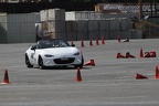 IMG 5163