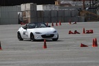 IMG 5164