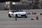 IMG 5165