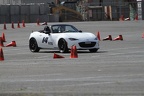 IMG 5167