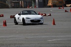 IMG 5169