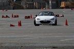 IMG 5172