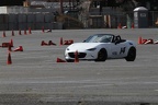 IMG 5175