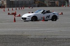 IMG 5177