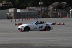 IMG 5178
