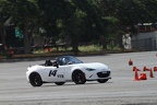 IMG 5190