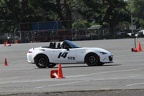 IMG 5196