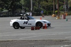 IMG 5198