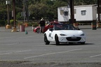 IMG 5205