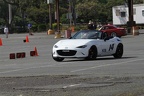 IMG 5209