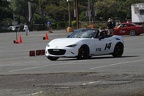 IMG 5210
