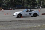 IMG 5213