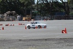IMG 5219