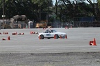 IMG 5220