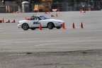 IMG 5224
