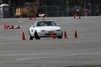 IMG 5225