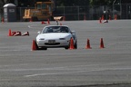 IMG 5227