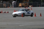 IMG 5230