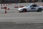 IMG 5233