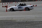 IMG 5235