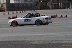IMG 5236