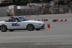 IMG 5241
