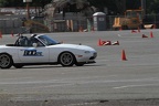 IMG 5242