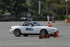 IMG 5247