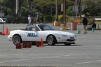 IMG 5248