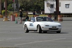 IMG 5251