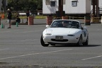 IMG 5254