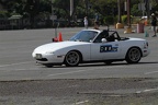 IMG 5259