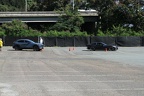IMG 6343 (Large)