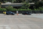 IMG 6340 (Large)