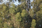 IMG 6484 (Large)