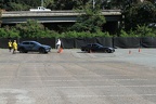 IMG 6341 (Large)
