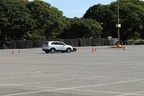 IMG 6426 (Large)