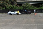 IMG 6362 (Large)
