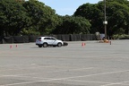 IMG 6425 (Large)