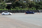 IMG 6377 (Large)
