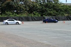 IMG 6381 (Large)