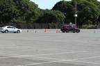 IMG 6374 (Large)