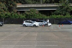 IMG 6463 (Large)