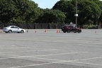 IMG 6375 (Large)