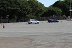 IMG 6329 (Large)
